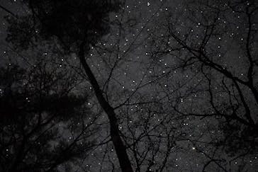 Moora Beat（ムーラビート）に投稿された画像（2020/12/11）