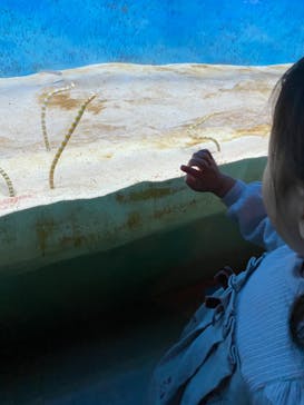 大分マリーンパレス水族館 「うみたまご」に投稿された画像（2020/12/11）