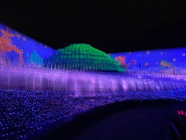 なばなの里に投稿された画像（2020/12/11）