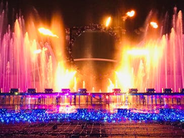 よみうりランド 遊園地に投稿された画像（2020/12/11）