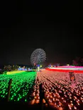 東武動物公園に投稿された画像（2020/12/12）