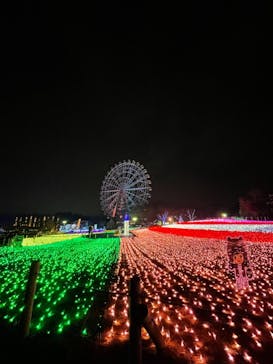 東武動物公園に投稿された画像（2020/12/11）
