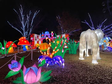 東武動物公園に投稿された画像（2020/12/11）