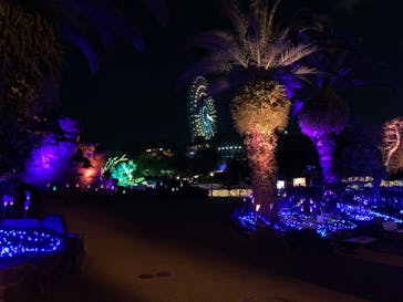 ひらかたパークに投稿された画像（2020/12/11）