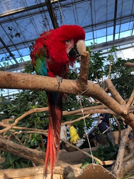 神戸どうぶつ王国に投稿された画像（2020/12/11）