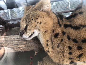 神戸どうぶつ王国に投稿された画像（2020/12/11）