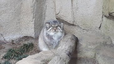 那須どうぶつ王国に投稿された画像（2020/12/11）