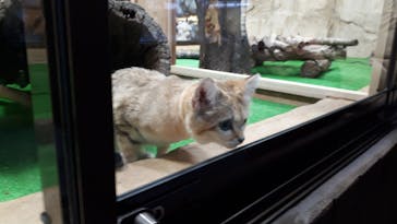 那須どうぶつ王国に投稿された画像（2020/12/11）