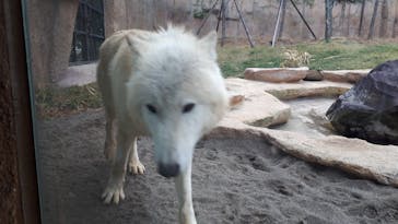 那須どうぶつ王国に投稿された画像（2020/12/11）