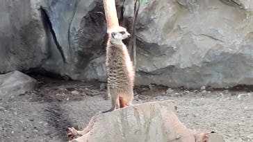 那須どうぶつ王国に投稿された画像（2020/12/11）