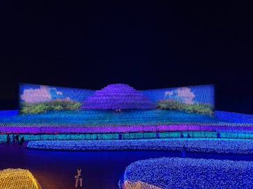 なばなの里に投稿された画像（2020/12/12）