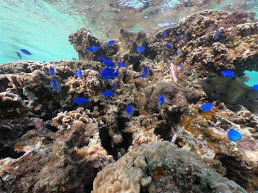 武藤潜水に投稿された画像（2020/12/12）