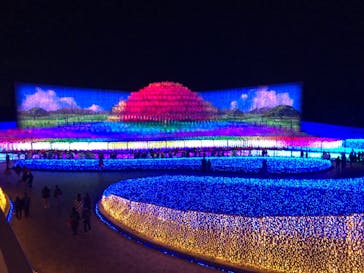 なばなの里に投稿された画像（2020/12/12）