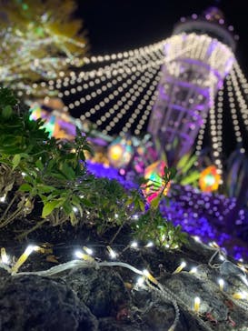 江の島シーキャンドルに投稿された画像（2020/12/12）