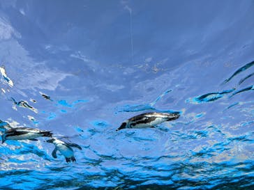 サンシャイン水族館に投稿された画像（2020/12/12）