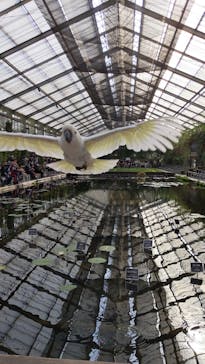 神戸どうぶつ王国に投稿された画像（2020/12/12）