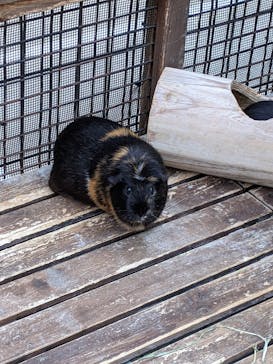 神戸どうぶつ王国に投稿された画像（2020/12/12）