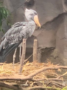 那須どうぶつ王国に投稿された画像（2020/12/12）