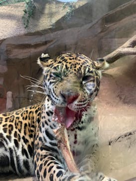 那須どうぶつ王国に投稿された画像（2020/12/12）