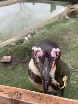 那須どうぶつ王国に投稿された画像（2020/12/12）