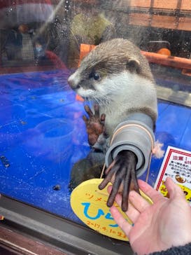 ゼロ距離水族館 伊勢シーパラダイスに投稿された画像（2020/12/12）