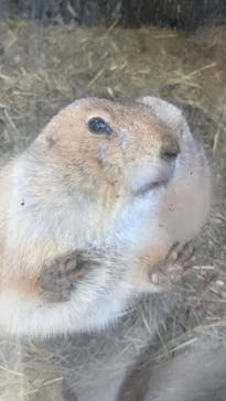 横浜・八景島シーパラダイスに投稿された画像（2020/12/12）