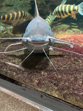 サンシャイン水族館に投稿された画像（2020/12/12）