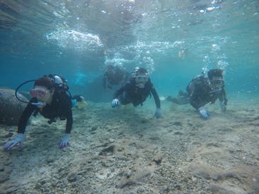 武藤潜水に投稿された画像（2020/12/12）