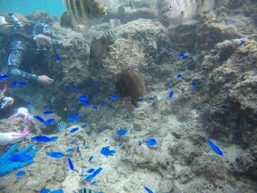 武藤潜水に投稿された画像（2020/12/12）