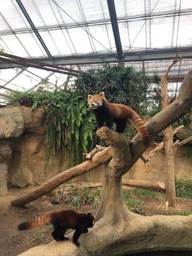 神戸どうぶつ王国に投稿された画像（2020/12/12）