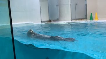 鳥羽水族館に投稿された画像（2020/12/12）