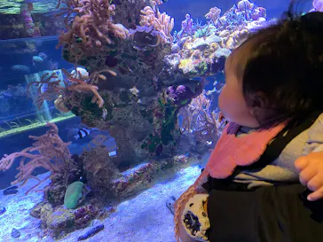 すみだ水族館に投稿された画像（2020/12/12）