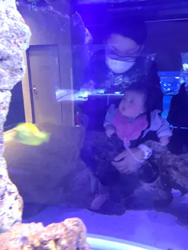 すみだ水族館に投稿された画像（2020/12/12）