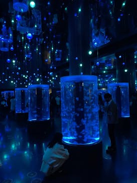 マクセル アクアパーク品川に投稿された画像（2020/12/12）