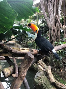 那須どうぶつ王国に投稿された画像（2020/12/12）