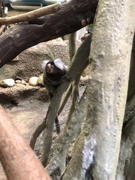 那須どうぶつ王国に投稿された画像（2020/12/12）