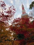 東京タワーに投稿された画像（2020/12/12）