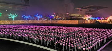 東京メガイルミに投稿された画像（2020/12/12）