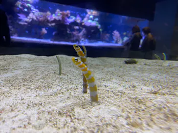 すみだ水族館に投稿された画像（2020/12/12）