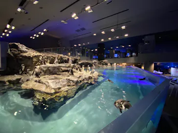 すみだ水族館に投稿された画像（2020/12/12）