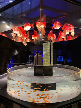 すみだ水族館に投稿された画像（2020/12/12）