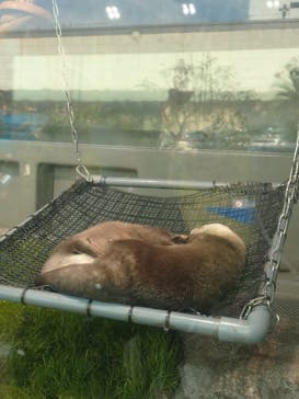 サンシャイン水族館に投稿された画像（2020/12/12）