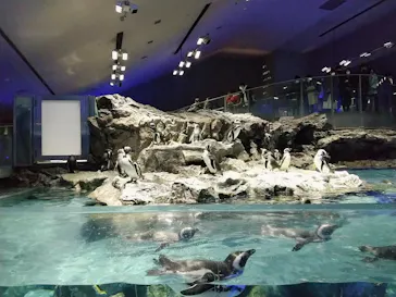 すみだ水族館に投稿された画像（2020/12/12）