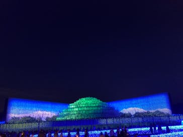 なばなの里に投稿された画像（2020/12/12）