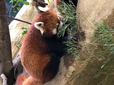 那須どうぶつ王国に投稿された画像（2020/12/12）