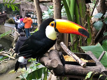 那須どうぶつ王国に投稿された画像（2020/12/12）