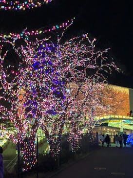 よみうりランド 遊園地に投稿された画像（2020/12/12）