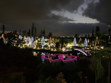 美らヤシパークオキナワ・東南植物楽園に投稿された画像（2020/12/12）