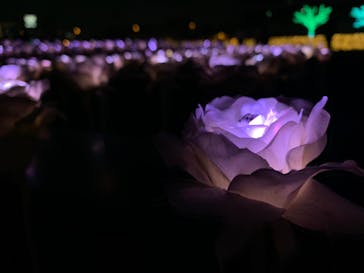 東京メガイルミに投稿された画像（2020/12/12）