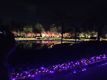 なばなの里に投稿された画像（2020/12/12）